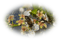 Kaz_Creations Deco Flowers Wasp - 免费PNG