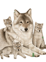Wolves - zadarmo png