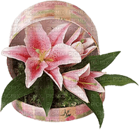charmille _ fleurs - PNG gratuit