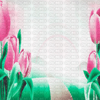 green pink tulpen milla1959 - Gratis geanimeerde GIF