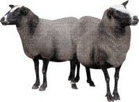 Kaz_Creations Sheep - zadarmo png