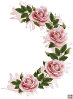 des roses - PNG gratuit