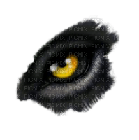 wolf eye - PNG gratuit