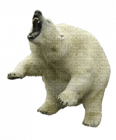 Kaz_Creations Animals Animal Polar Bears - 無料png