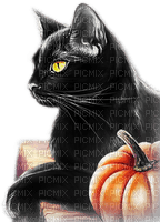 soave cat autumn pumpkin halloween deco animals - gratis png