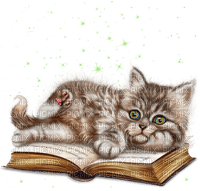 kikkapink kitty cat book - PNG gratuit