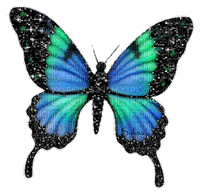 chantalmi papillon butterfly bleu - GIF animé gratuit