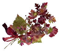 Herbststrauss - Darmowy animowany GIF