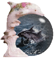 dolphin globe - GIF เคลื่อนไหวฟรี