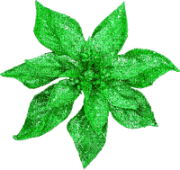 Christmas.Flower.Green - png grátis