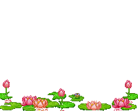 lily pond - GIF animé gratuit
