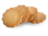 biscuit - ücretsiz png