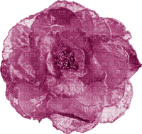 blomma-purple - безплатен png