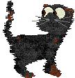 Petz Black Alley Cat Sniffing - GIF animé gratuit