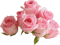 Roses in Pink - PNG gratuit