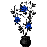 Gothic.Roses.Black.Blue - zdarma png
