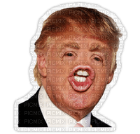 Kaz_Creations Donald Trump American President Man Homme - gratis png