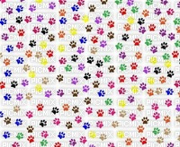 paws print wall - 免费PNG