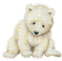 dolceluna polar bear deco fantasy winter vintage - Free PNG