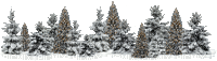 winter hiver paysage landscape forest snow neige fond background - GIF animé gratuit