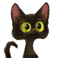 macska--mindig kicsit másak - Kostenlose animierte GIFs