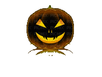 halloween pumpkin kürbis courge - Δωρεάν κινούμενο GIF