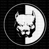 pitbull - PNG gratuit