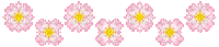 sakura flowers - GIF animasi gratis