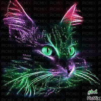 Gato - Безплатен анимиран GIF