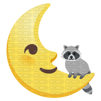 raccoon moon night - Free PNG