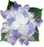 dolceluna spring flower deco - PNG gratuit