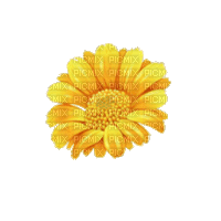 желтый цветок - GIF animado gratis