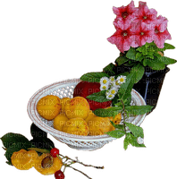 fruit apricots bp - бесплатно png