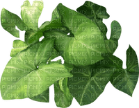 Kaz_Creations Deco Leaves Leafs Colours - Free PNG