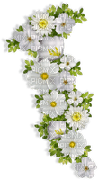 blommor-vita-----flowers-white - png grátis