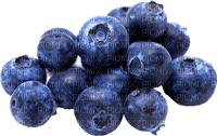 blueberries bp - besplatni png