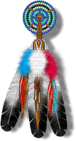 plume.indien.Cheyenne63 - png gratuito