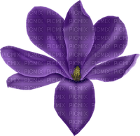 lila-flower-decoration - ücretsiz png