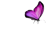 Papillon fluo