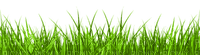 Kaz_Creations Garden-Deco-Grass - gratis png