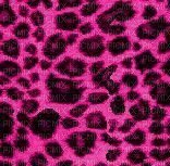 léopard rose - 無料png