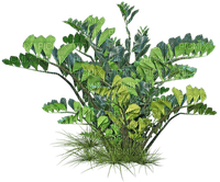 Kaz_Creations Trees Tree Colours - besplatni png