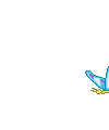 Papillon bleu.Cheyenne63 - Free animated GIF