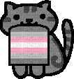 Demigirl cat - бесплатно png