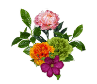 Kaz_Creations Deco Flowers Colours