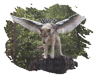 loup ailé - Darmowy animowany GIF