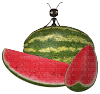 watermelon bp - bezmaksas png