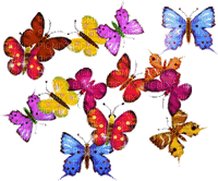butterfly;s glitter - 無料のアニメーション GIF