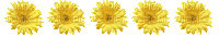 Blumen, gelb, Flowers, Yellow - Zdarma animovaný GIF