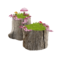 Flowers, Stumps - Free animated GIF